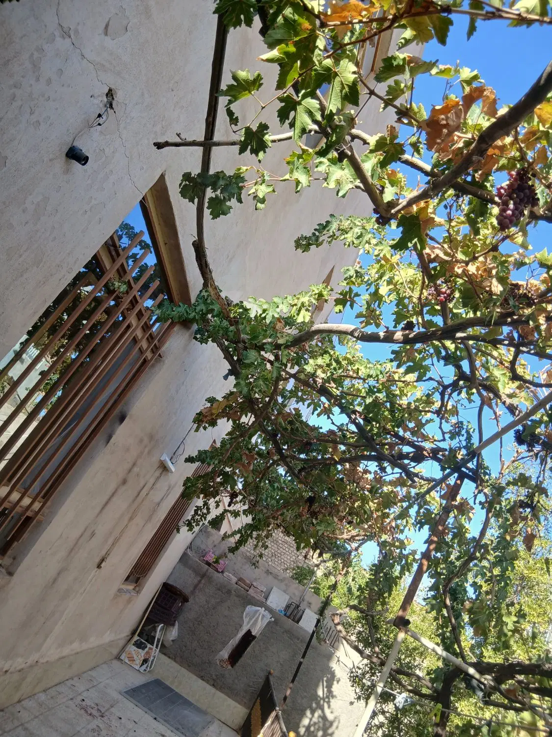 تصویر 3
