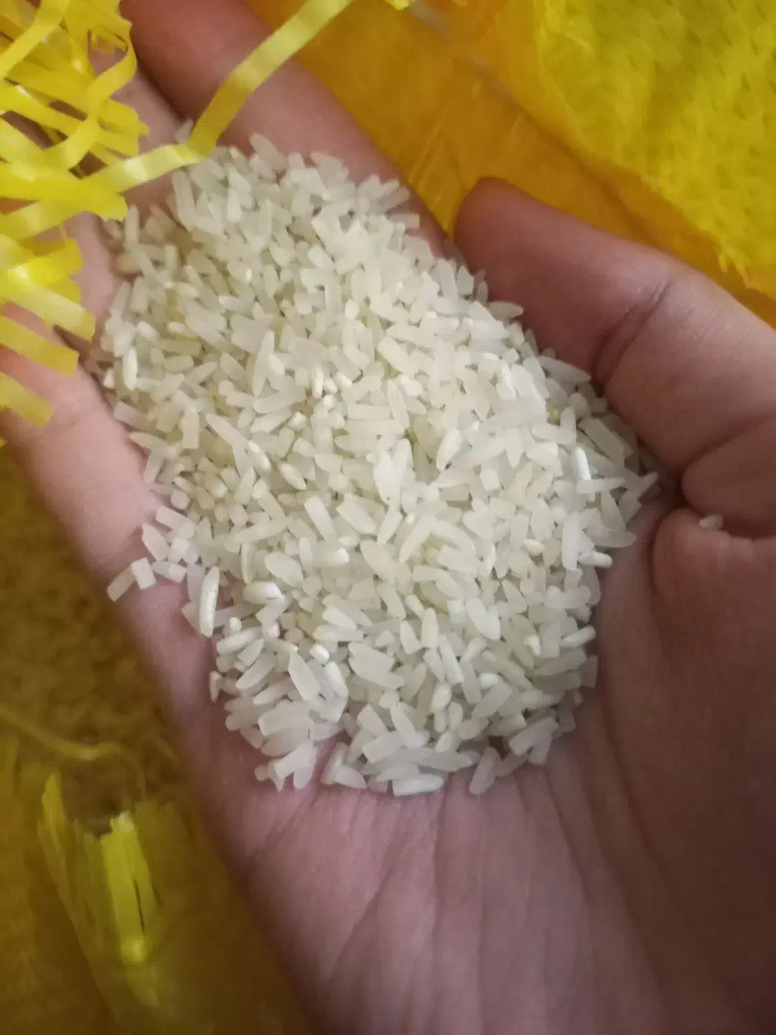 برنج سرلاشه و نیم دانه فجر درجه 1|خوردنی و آشامیدنی|مشهد, شهید قربانی|دیوار