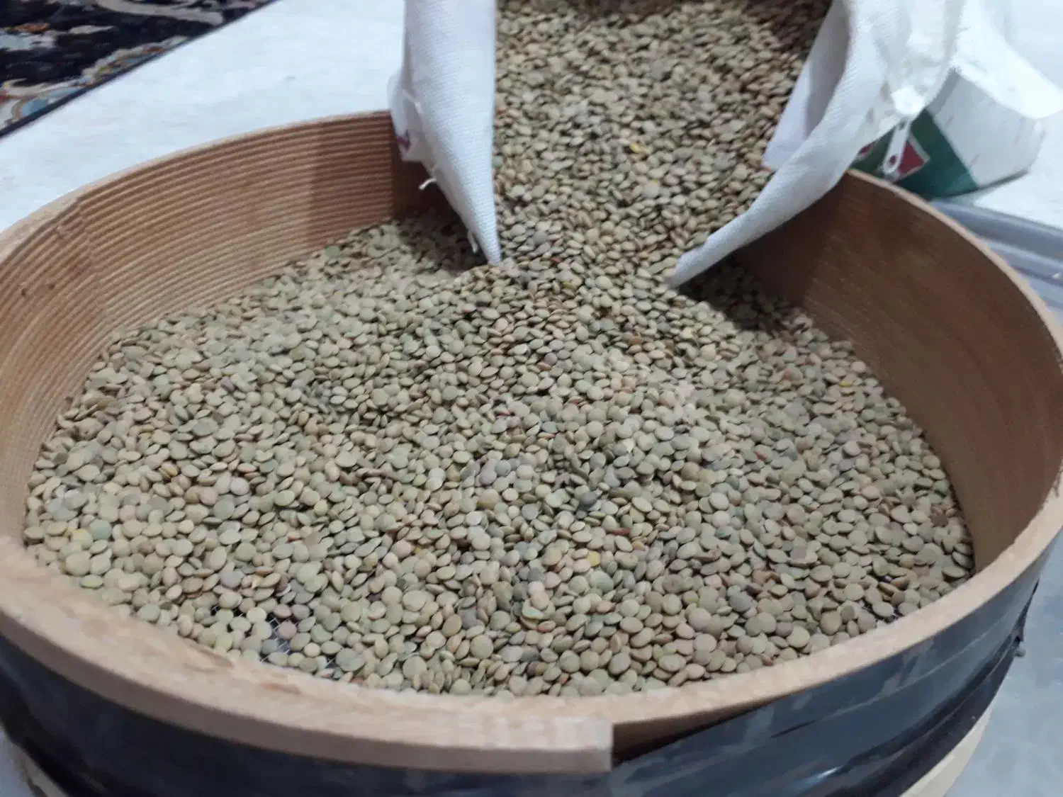 عدس تازه|خوردنی و آشامیدنی|باغستان, |دیوار