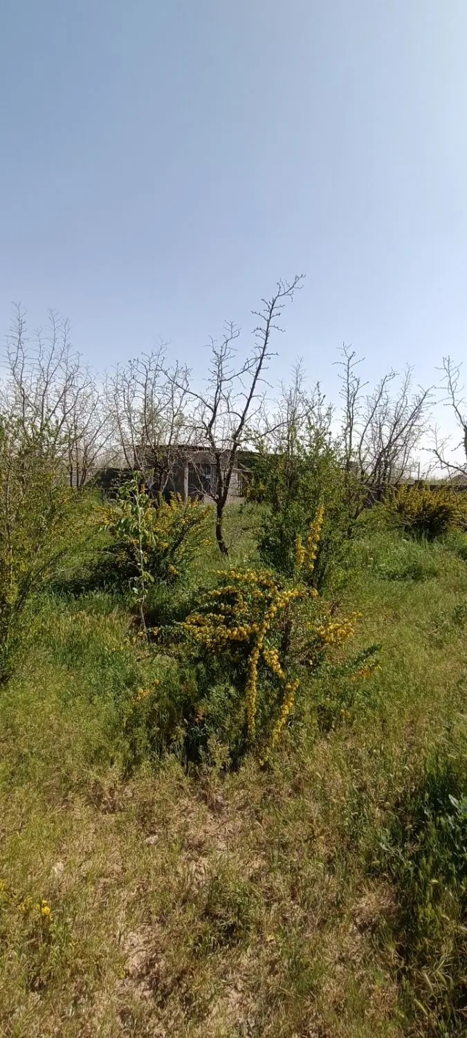 تصویر 2