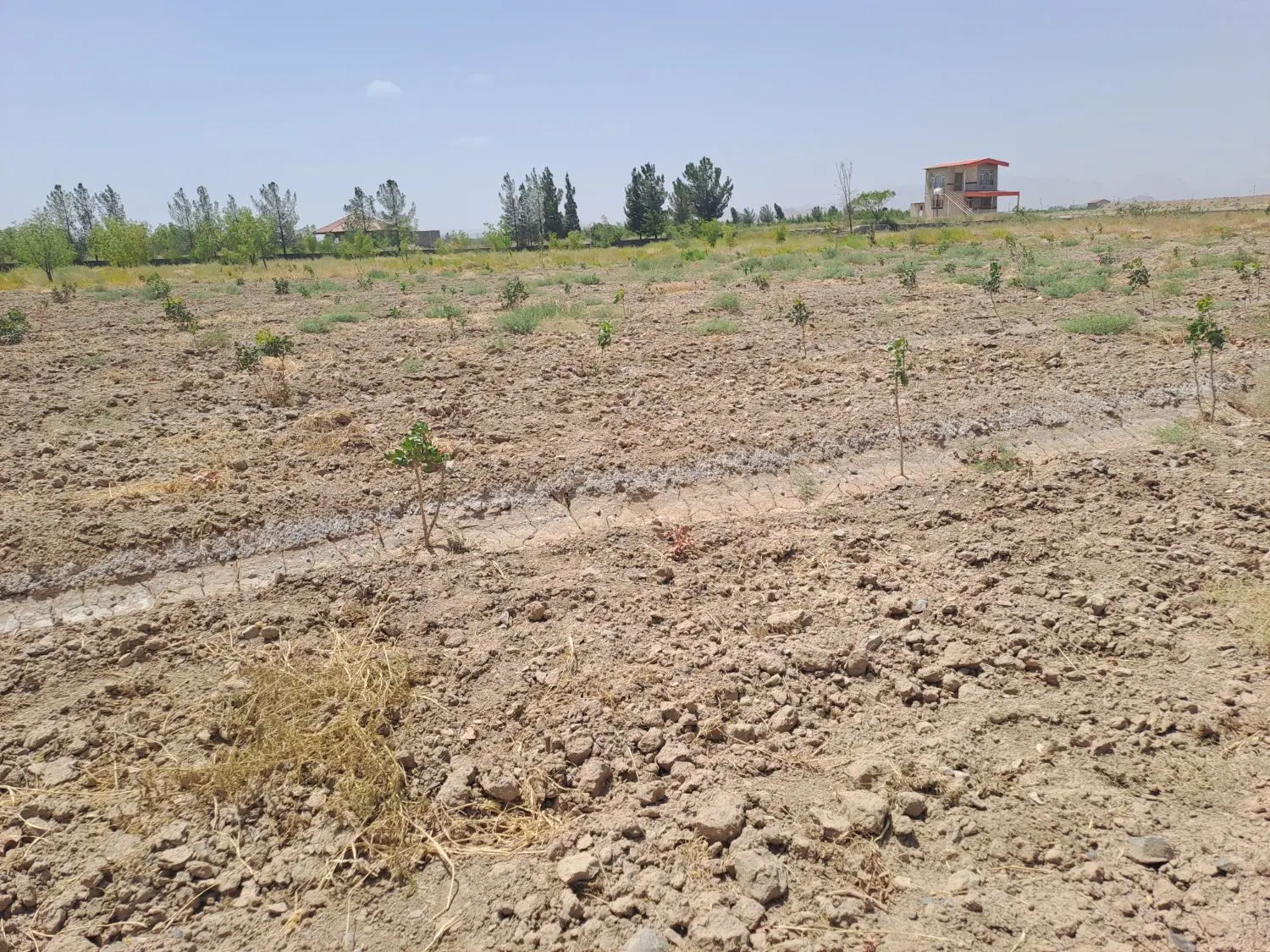 تصویر 7