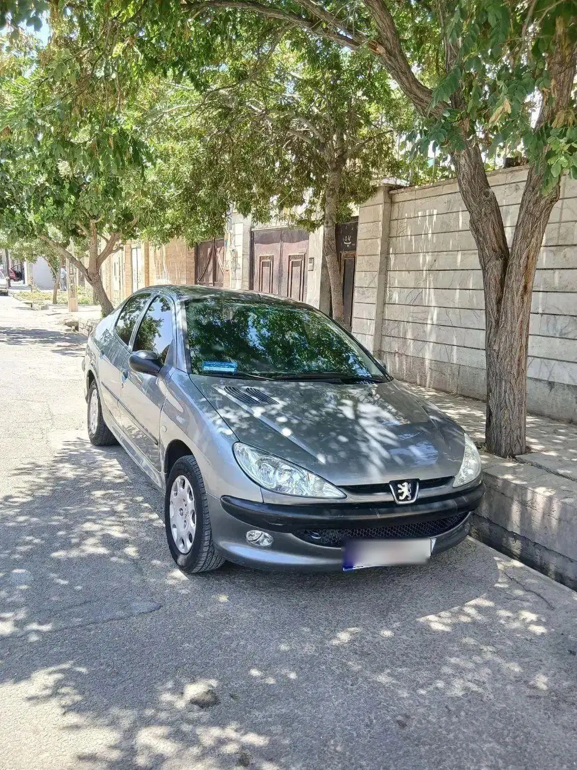 206 sd/ v8|خودرو سواری و وانت|گلستان (تهران), |دیوار