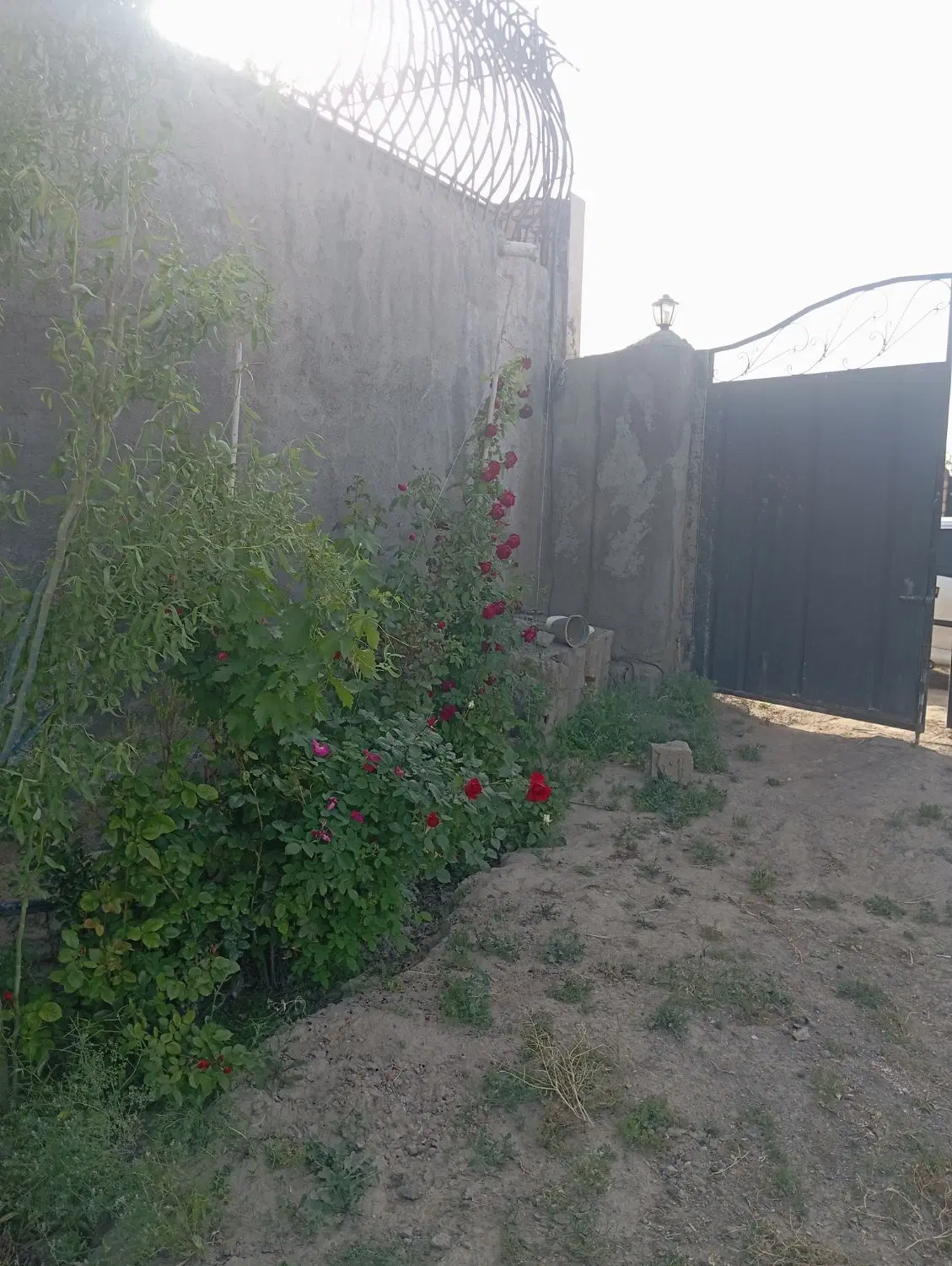 تصویر 4