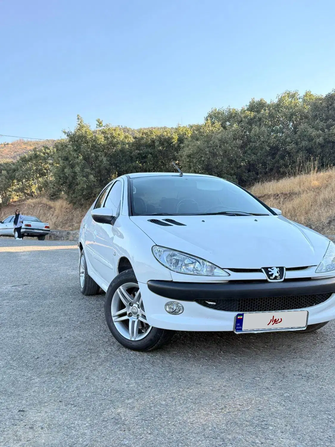 206 SD V8|خودرو سواری و وانت|سنندج, |دیوار