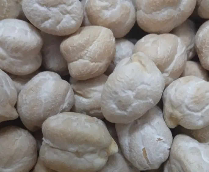 نخود|خوردنی و آشامیدنی|زنجان, |دیوار