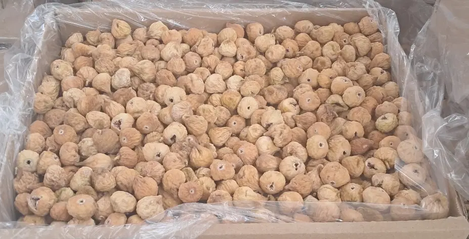 انجیر|خوردنی و آشامیدنی|استهبان, |دیوار
