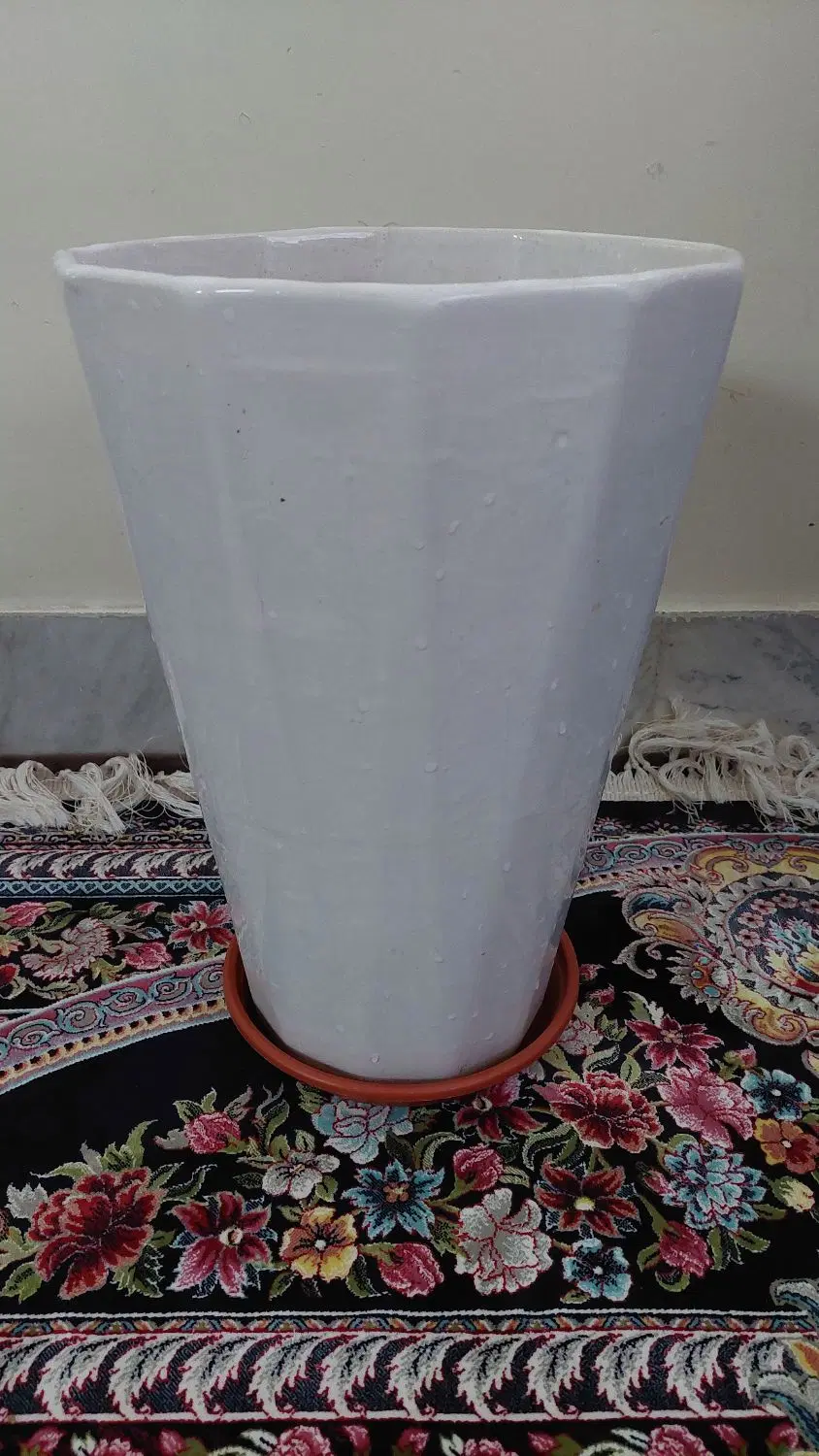 گلدان|گل و گیاه طبیعی|پیشوا, |دیوار