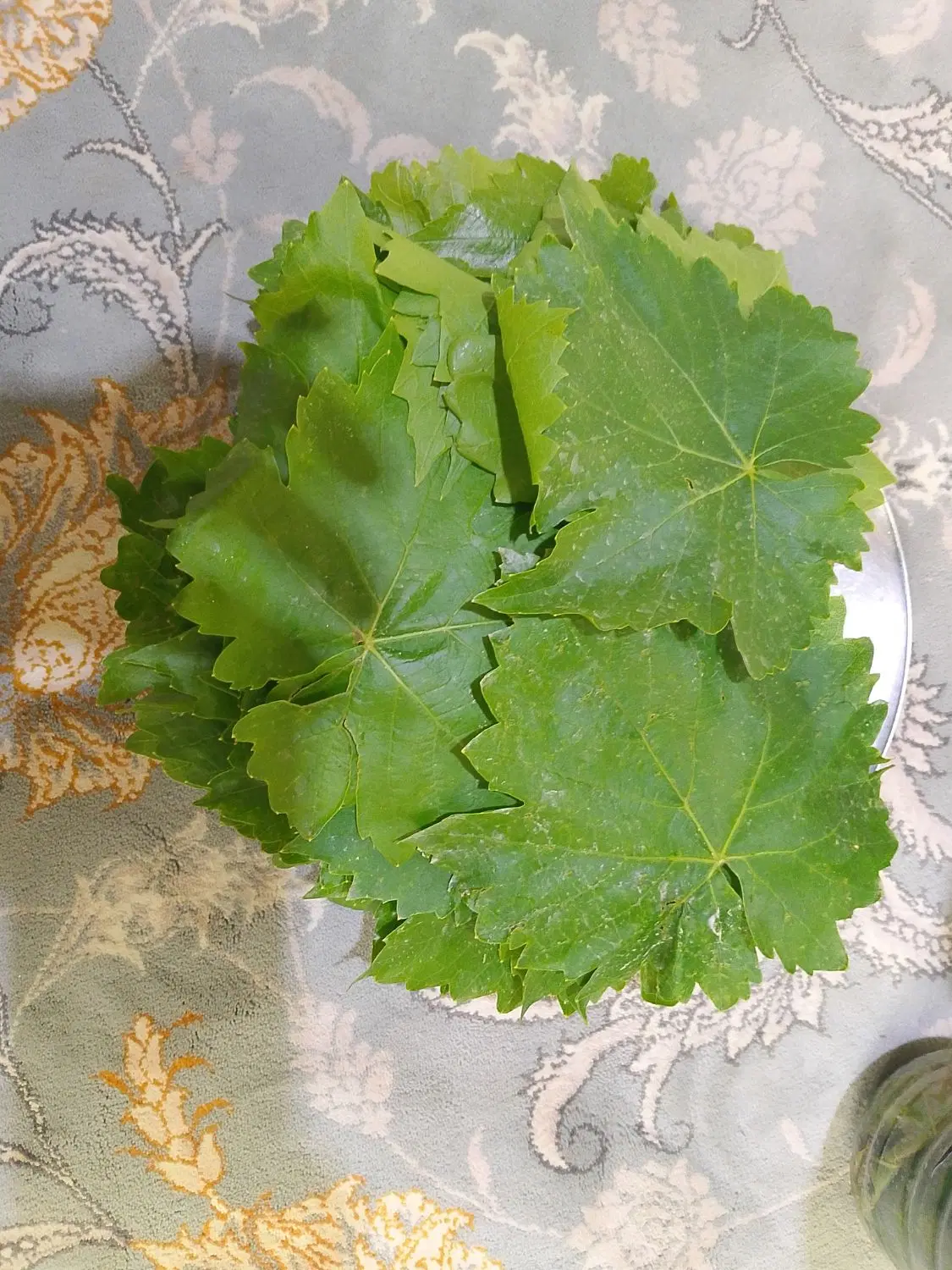 برگ انگور|خوردنی و آشامیدنی|راز وجرگلان, |دیوار