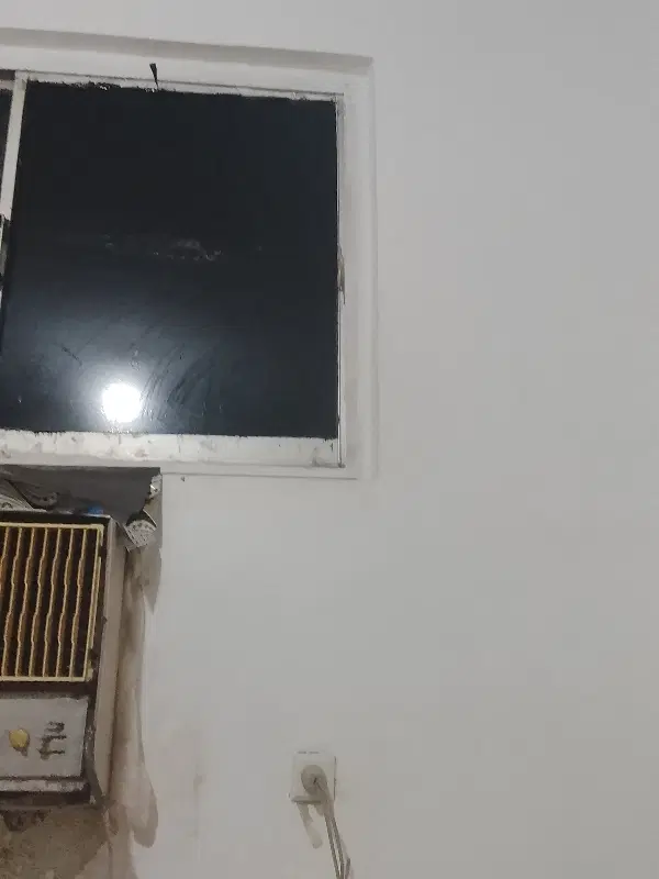 تصویر اصلی