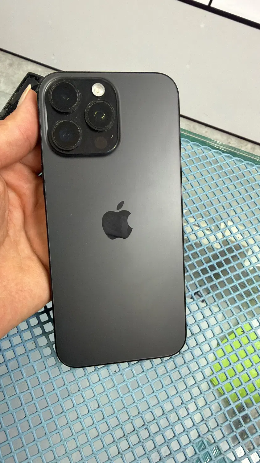 16promax|موبایل|بوشهر, |دیوار
