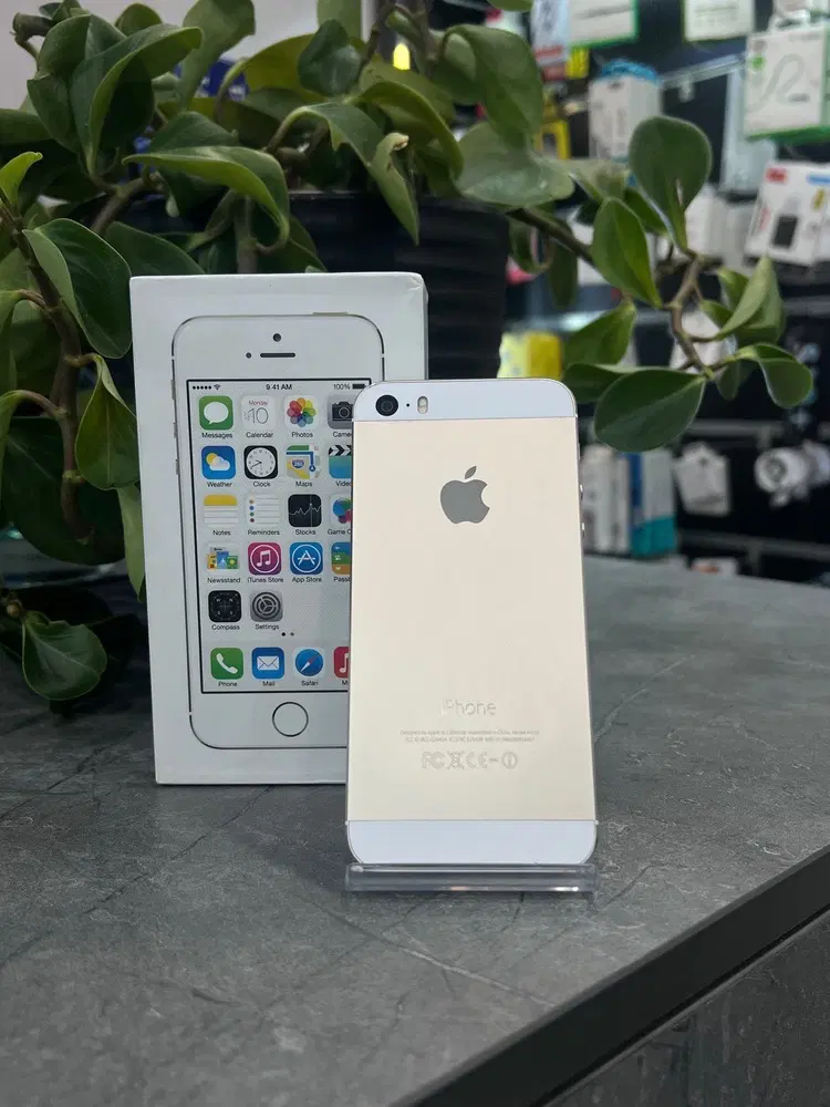 اپل iPhone 5S|موبایل|کرج, مهرویلا جنوبی|دیوار