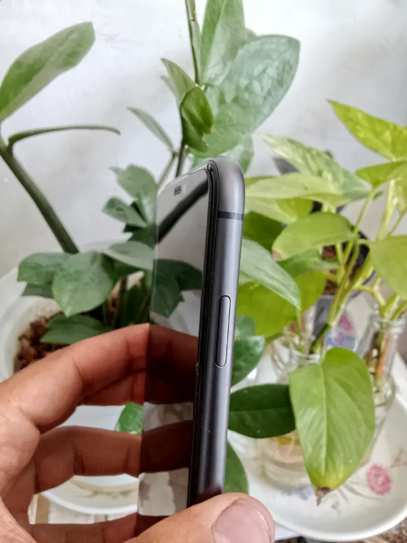 iPhone 11|موبایل|کرمان, |دیوار