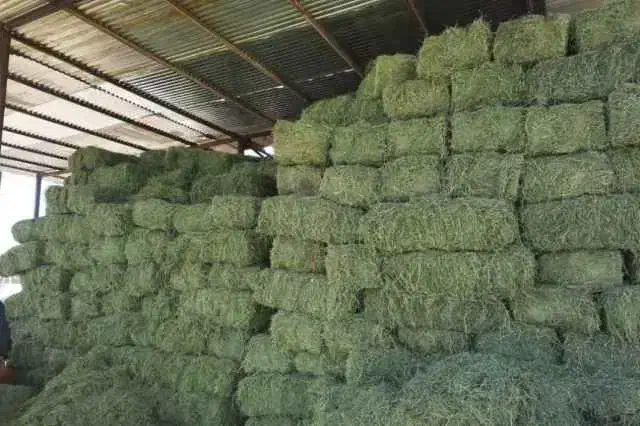 پرس یونجه|لوازم جانبی حیوانات|فیروزآباد (لرستان), |دیوار