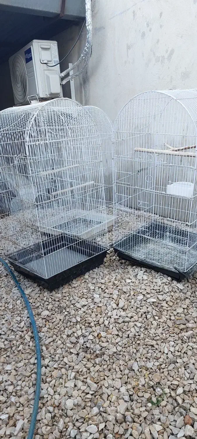 قفس|لوازم جانبی حیوانات|آبپخش, |دیوار