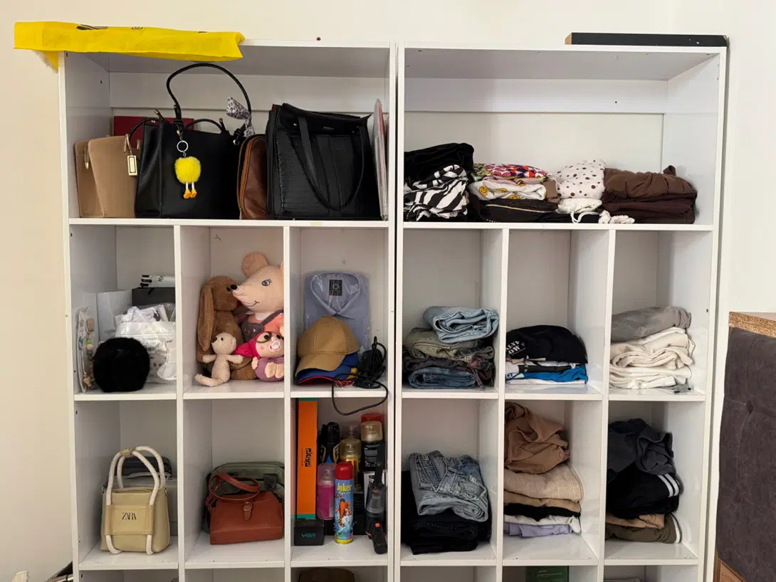 قفسه|کتابخانه، شلف، قفسه‌های دیواری|بندرعباس, |دیوار