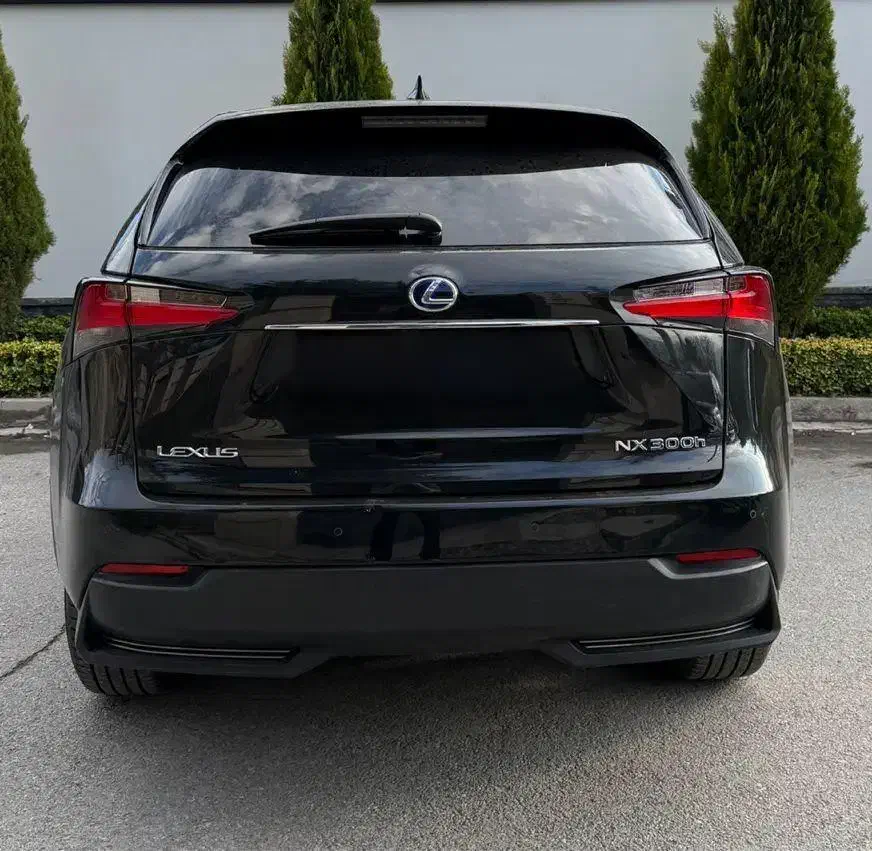 Nx300h|خودرو سواری و وانت|تهران, میرداماد|دیوار