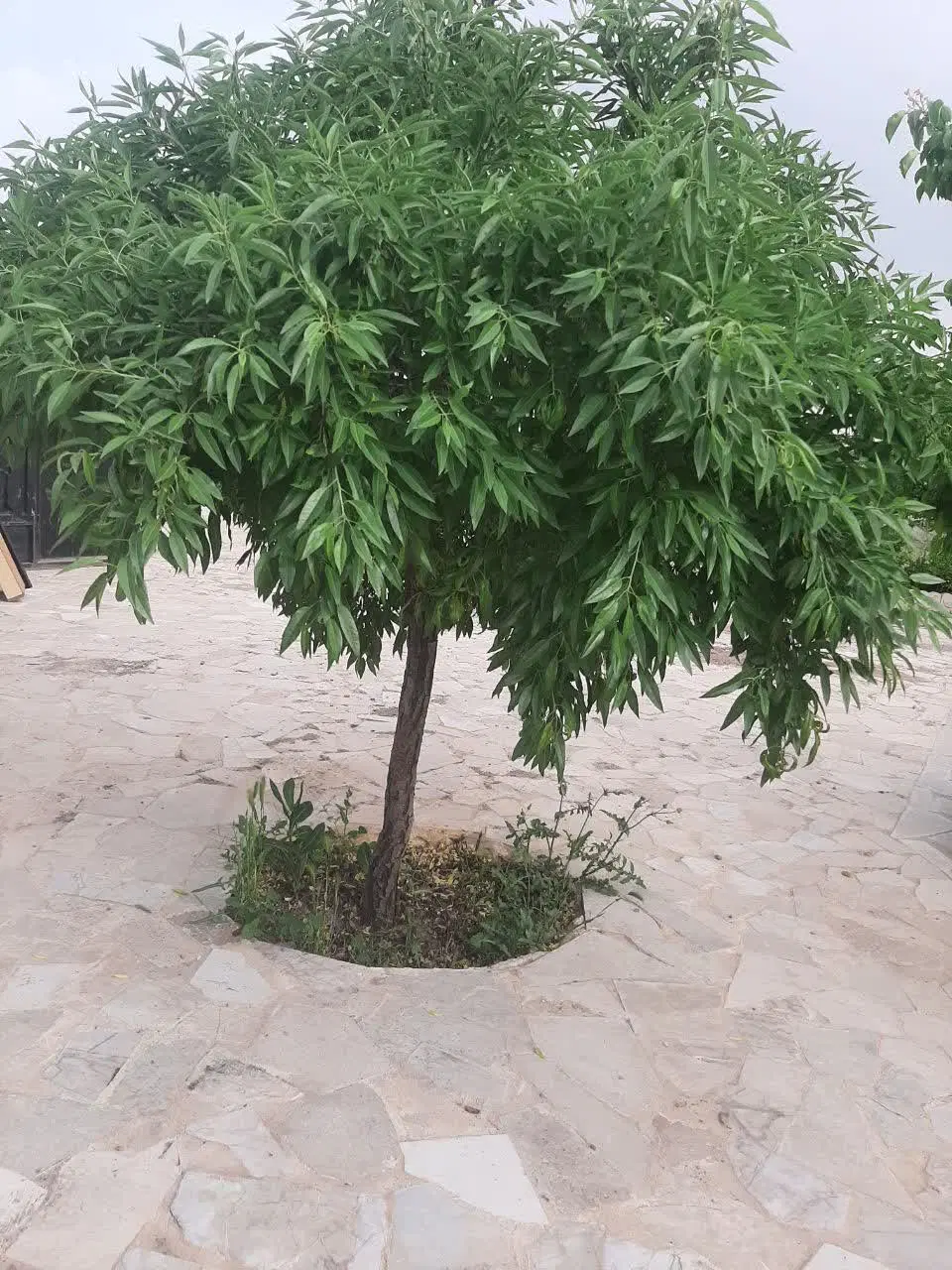 تصویر 18