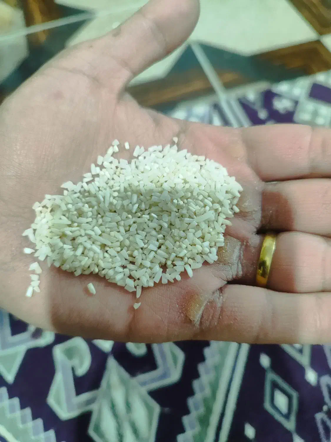 برنج|خوردنی و آشامیدنی|شیراز, جوادیه|دیوار