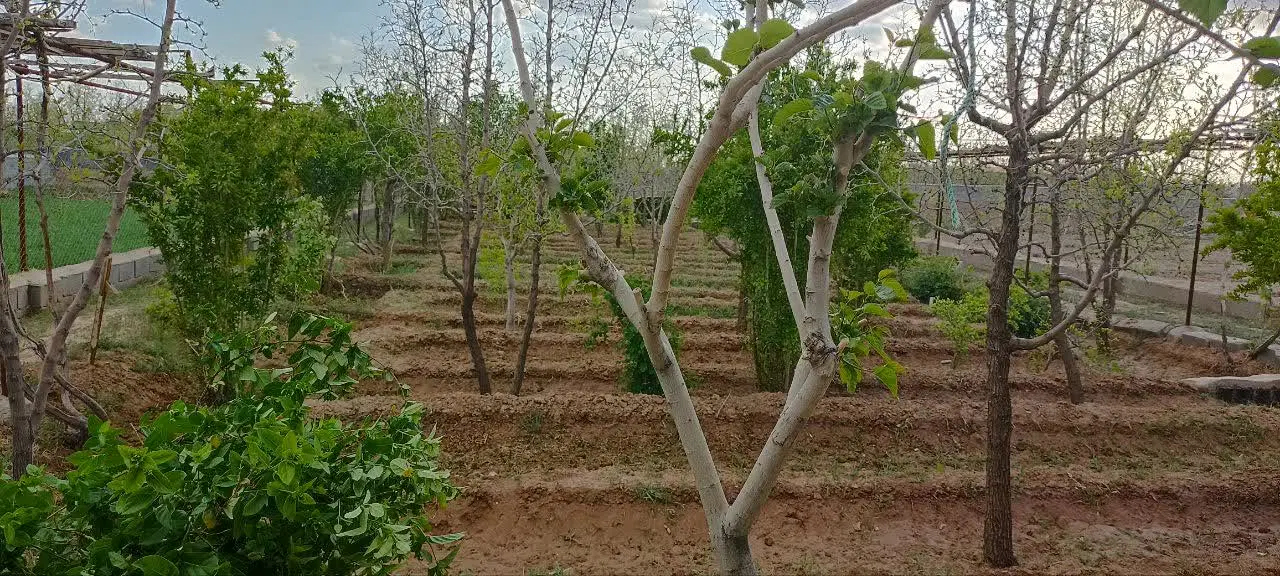 تصویر 15