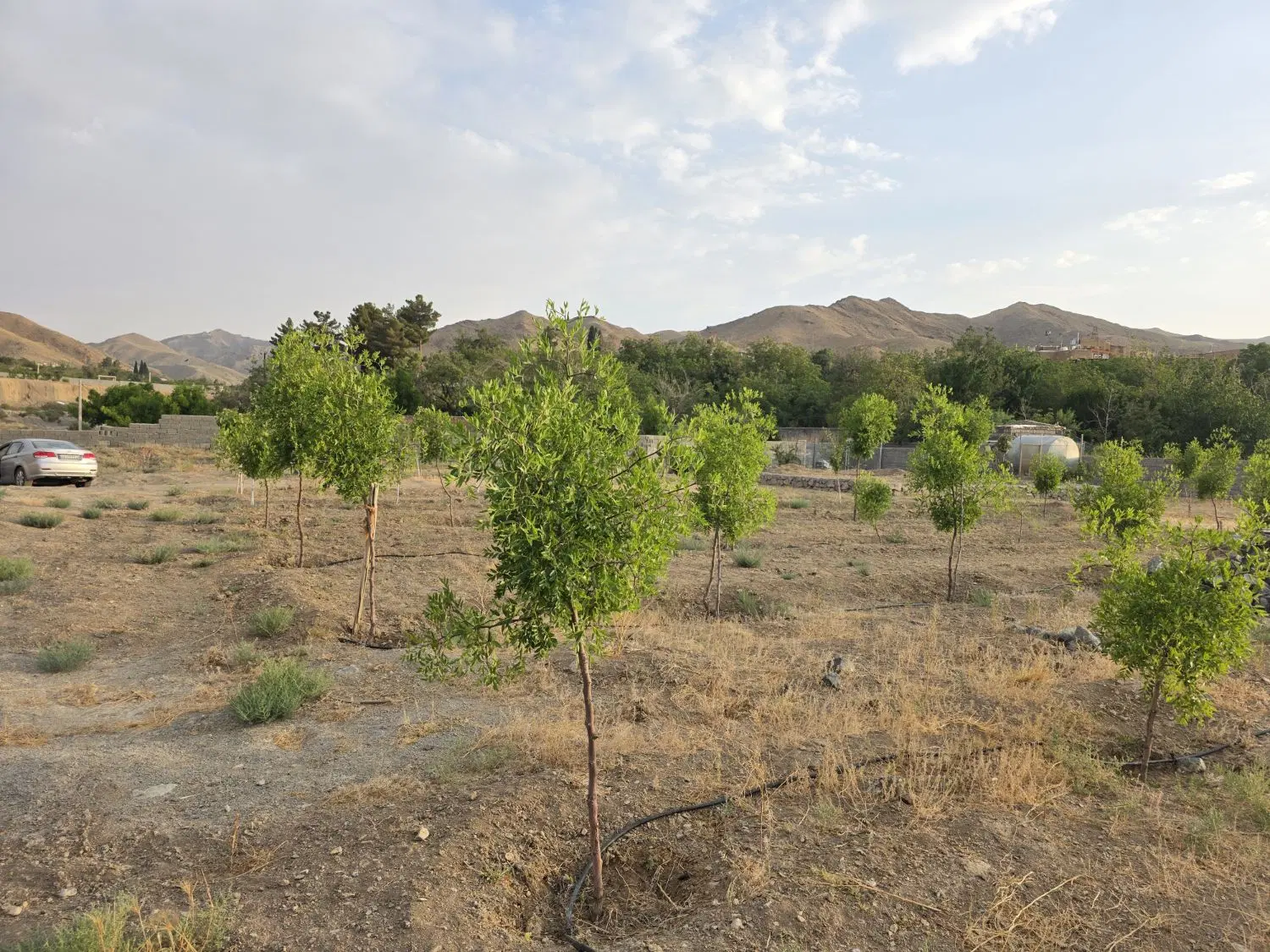 تصویر 11