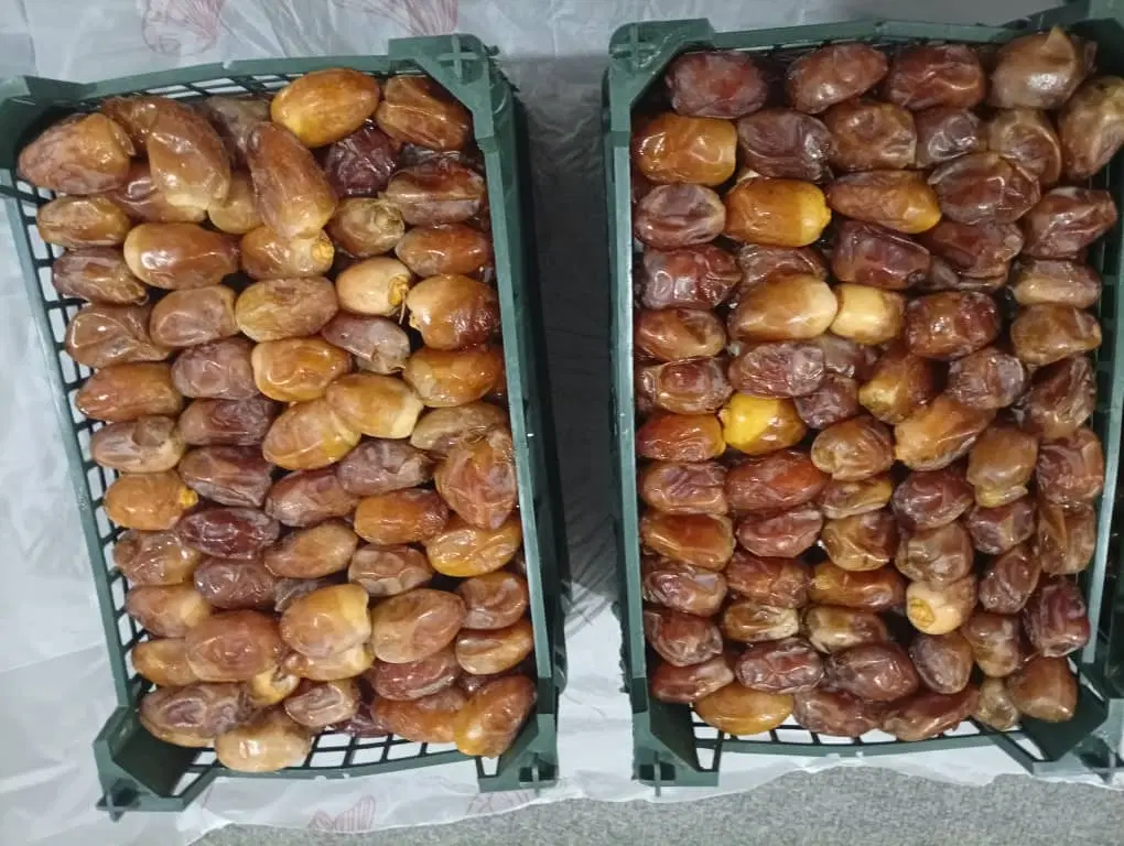 رطب|خوردنی و آشامیدنی|بندر ماهشهر, |دیوار