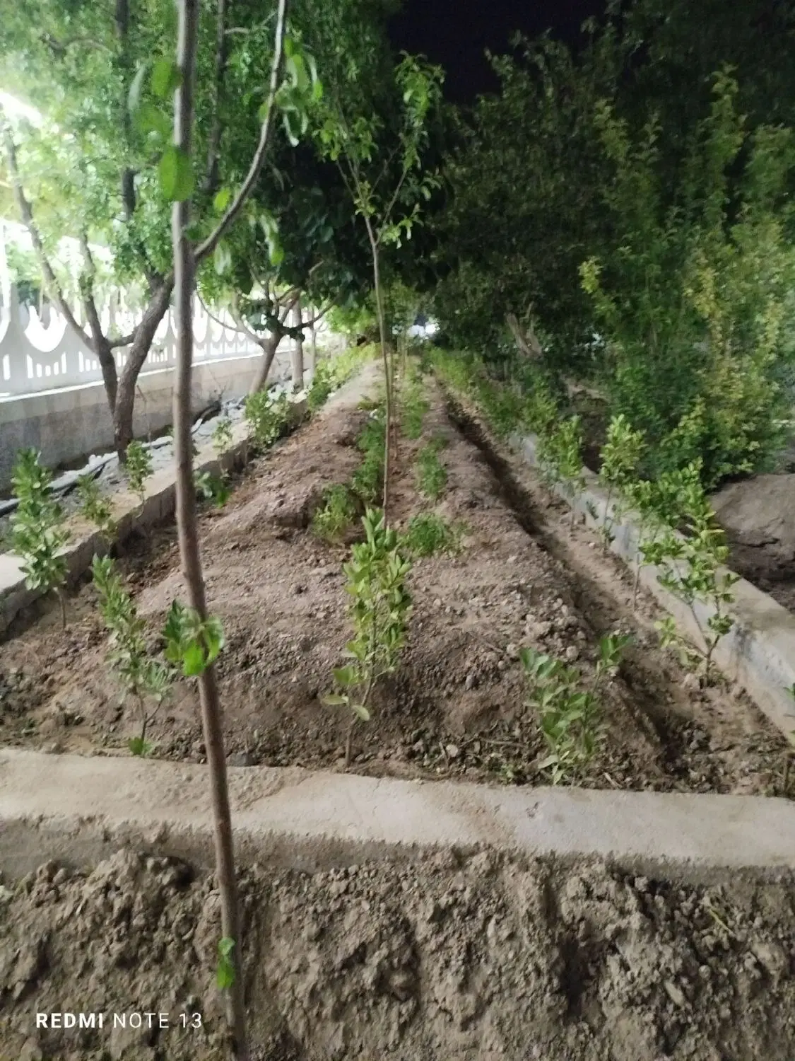 تصویر 19