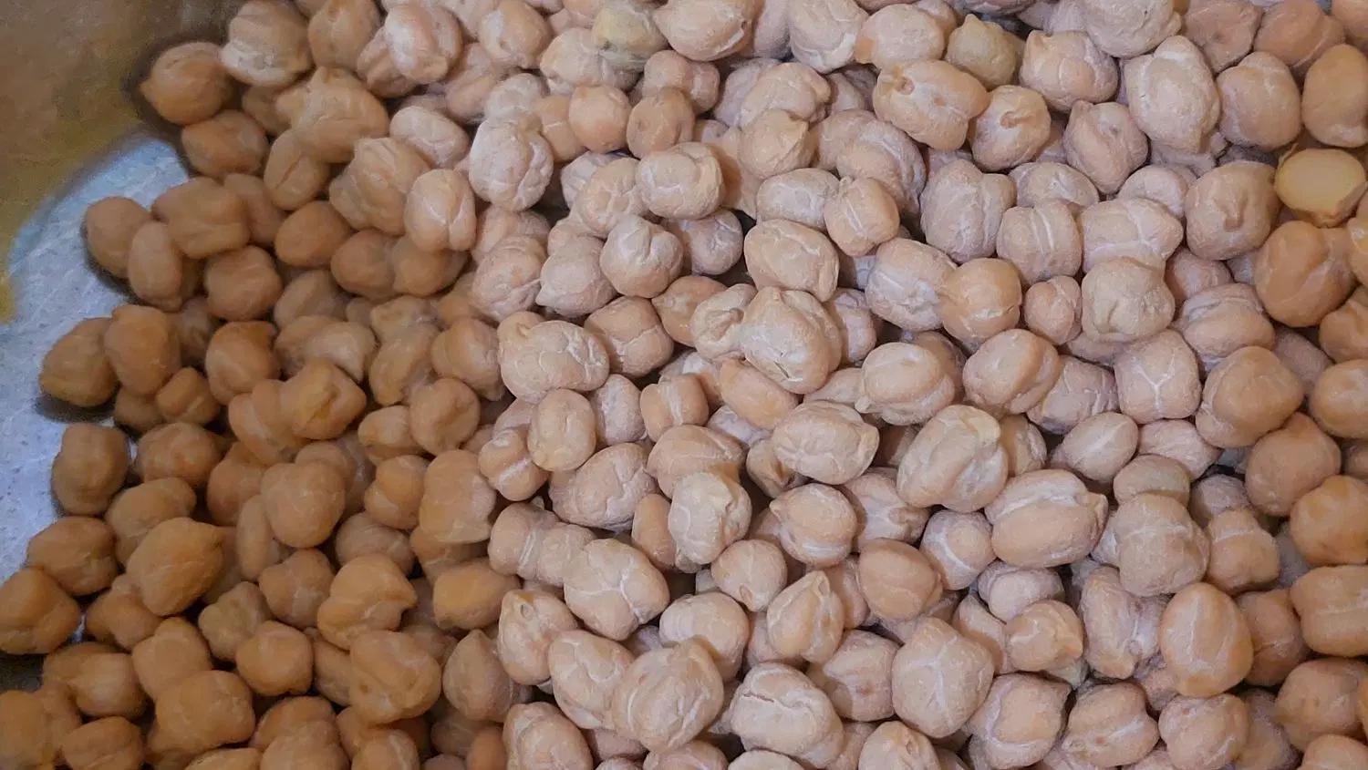 نخود220|خوردنی و آشامیدنی|ساوه, |دیوار