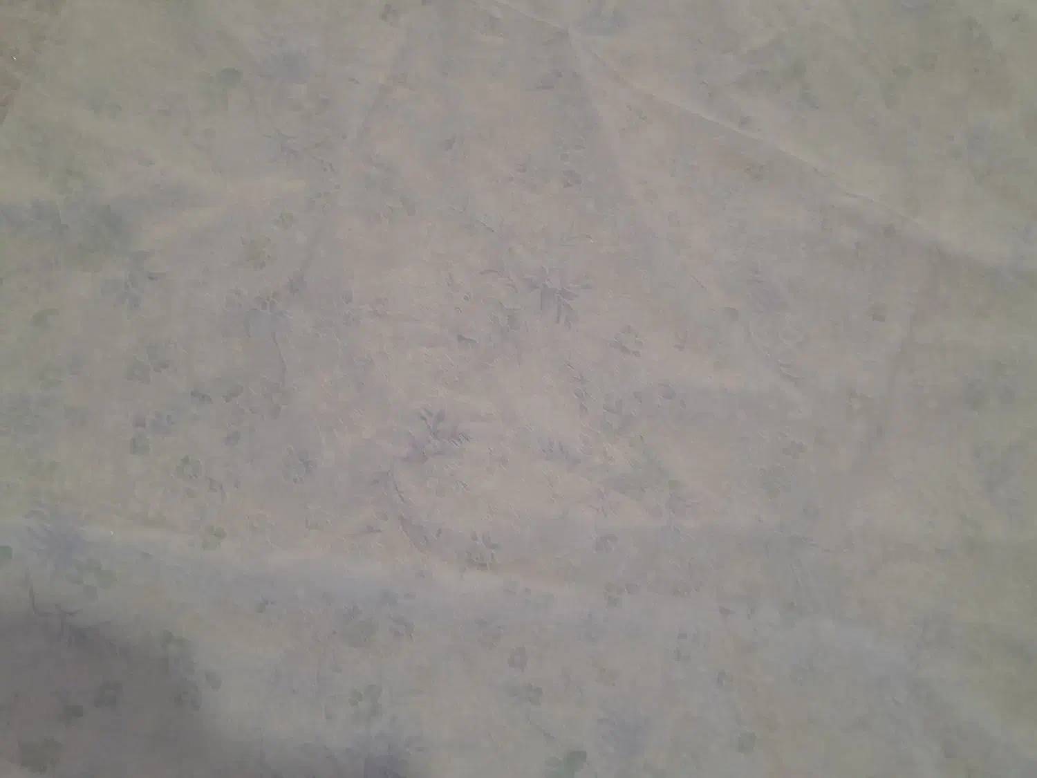 چادرسفید|لباس|بروجرد, |دیوار