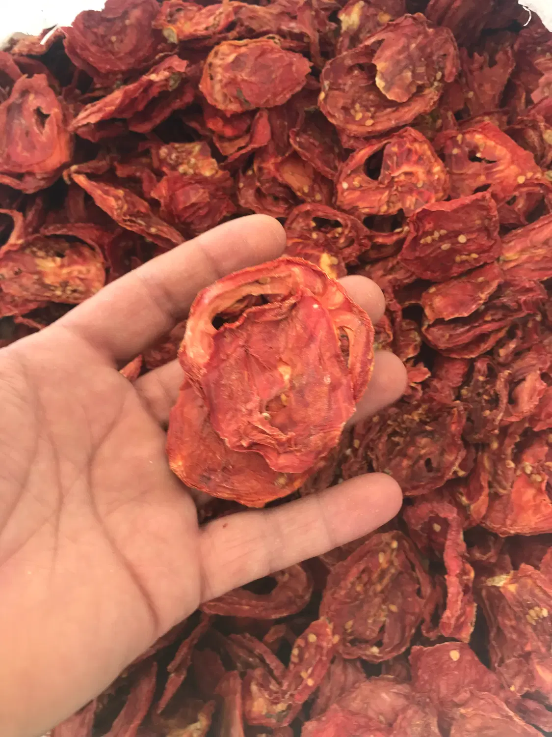 گوجه خشک|خوردنی و آشامیدنی|اصفهان, سرشبادران|دیوار