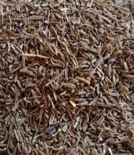 زیره|خوردنی و آشامیدنی|تربت‌حیدریه, آغوی|دیوار