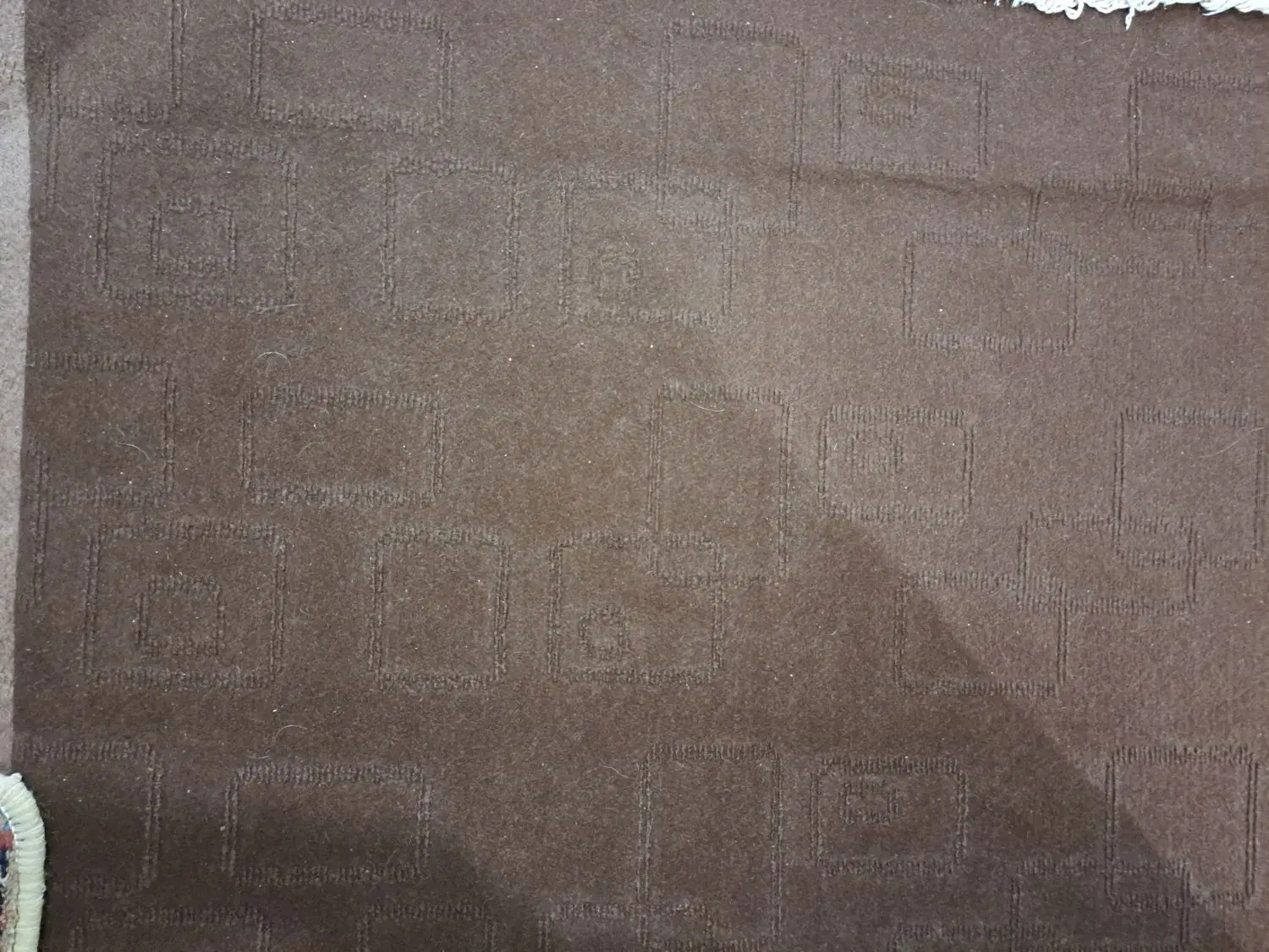 موکت|موکت|اردبیل, |دیوار