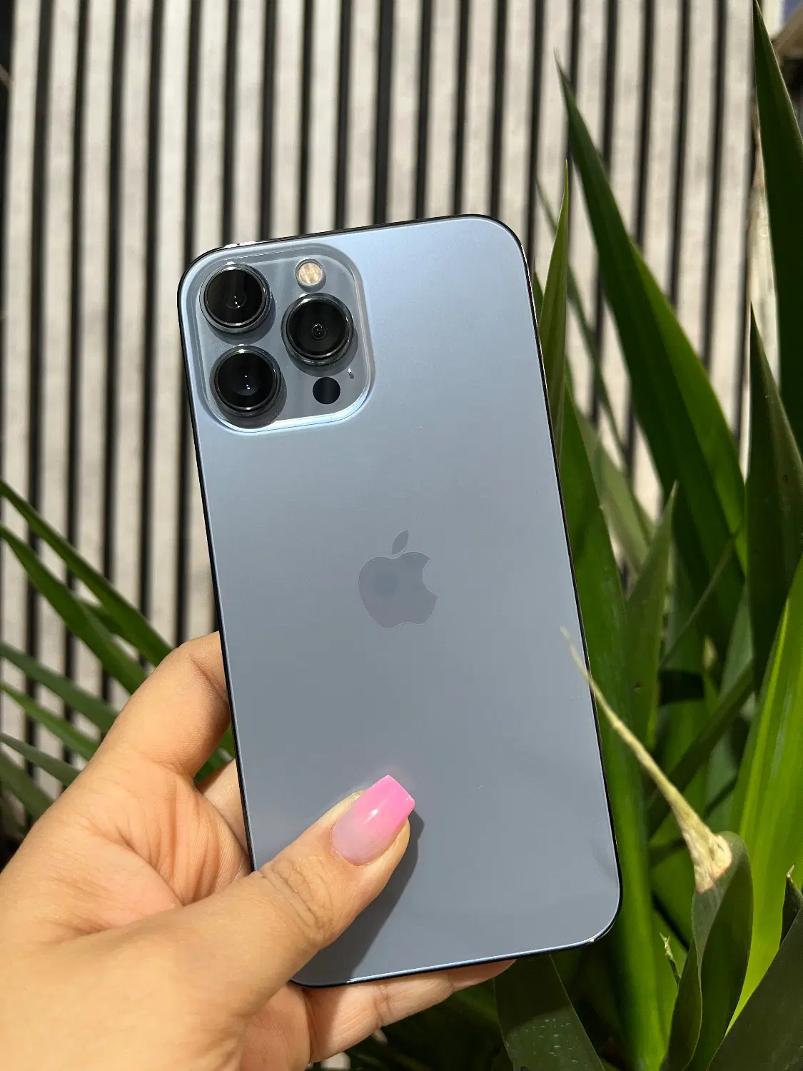 iPhone 13proMax|موبایل|مشهد, بهشت|دیوار