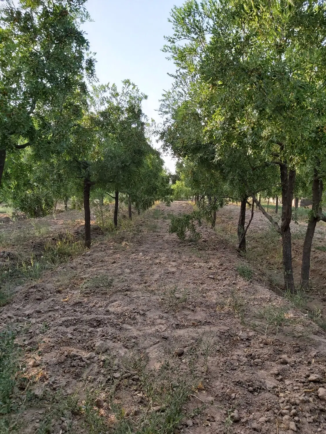 تصویر 4
