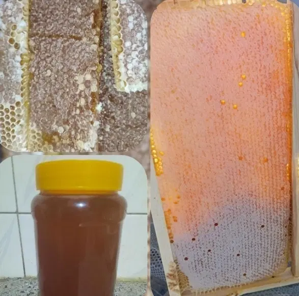 عسل|خوردنی و آشامیدنی|داراب, |دیوار
