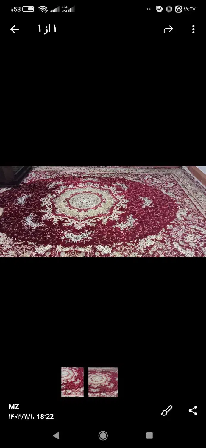 فرش ماشینی|فرش|مشهد, گلشور|دیوار