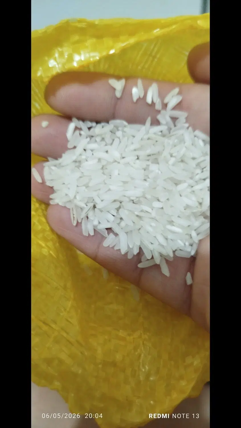 برنج محلی|خوردنی و آشامیدنی|بهشهر, |دیوار
