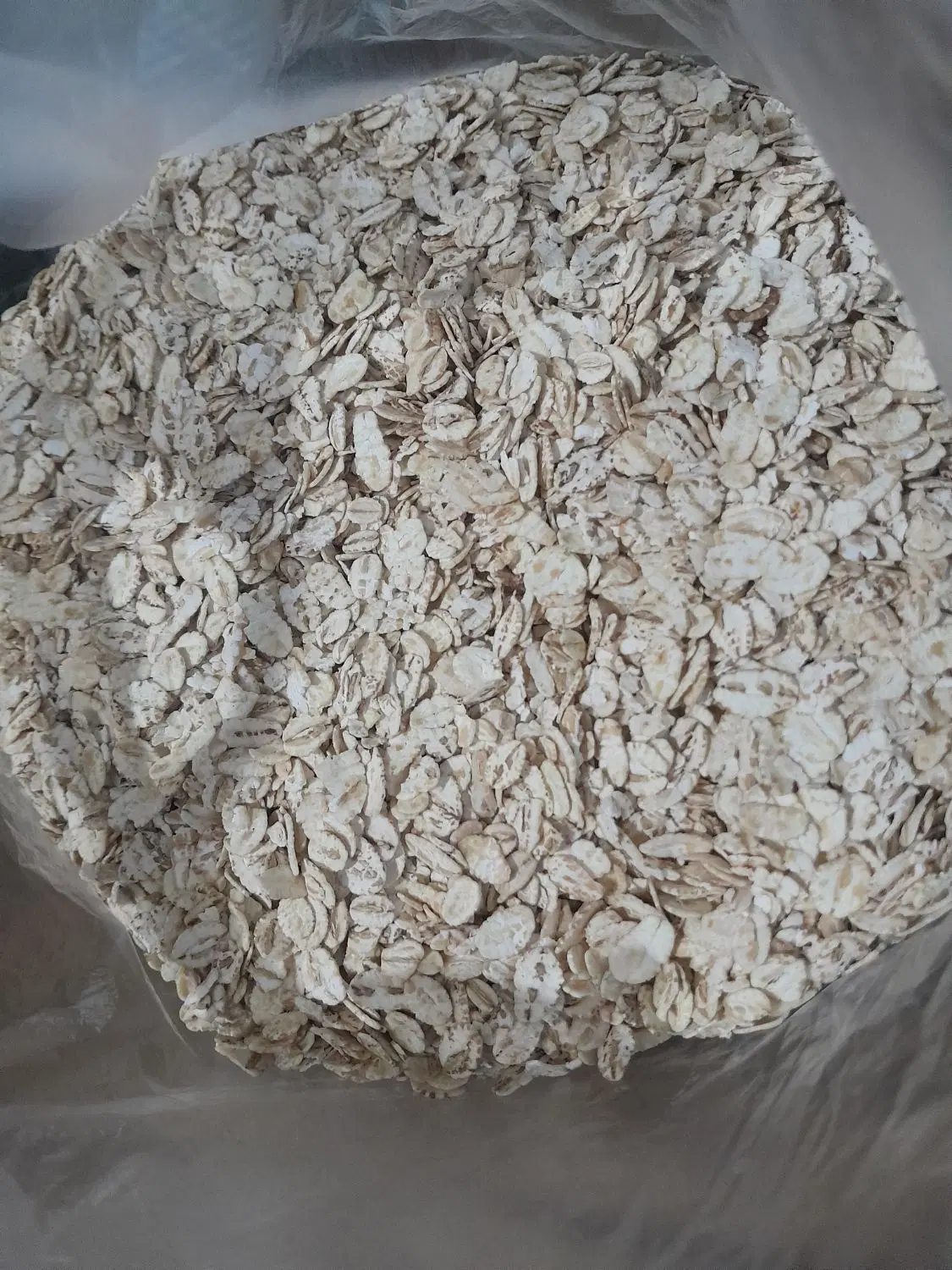 جو پرک|خوردنی و آشامیدنی|تایباد, |دیوار