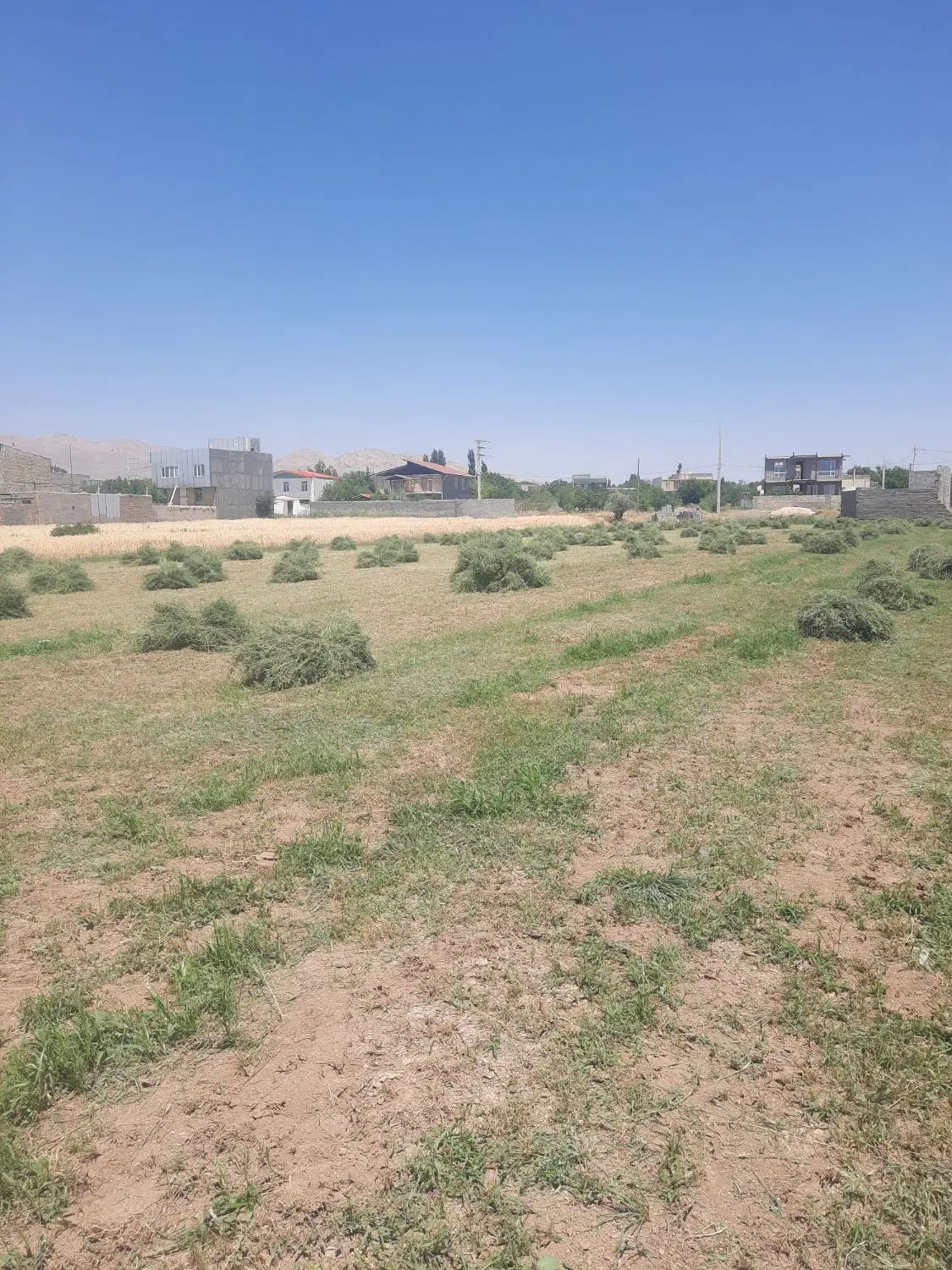 یونجه|لوازم جانبی حیوانات|قیدار, |دیوار