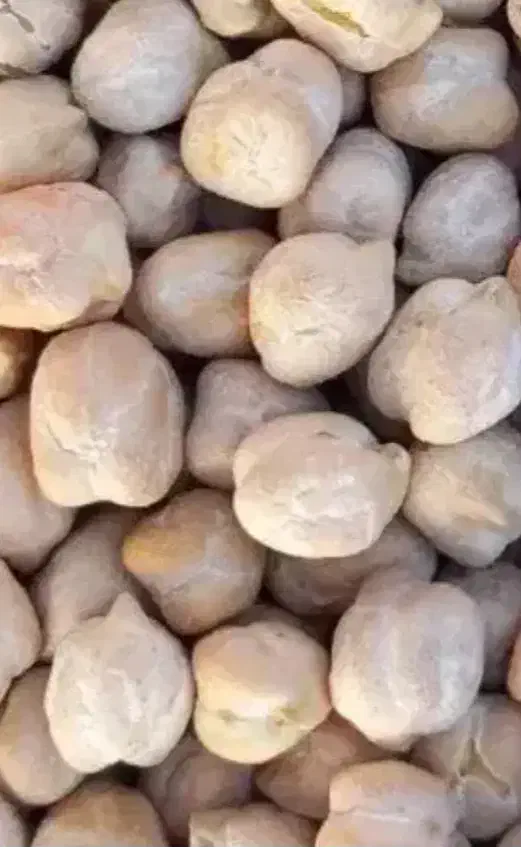 نخود|خوردنی و آشامیدنی|نیشابور, بنیاد شهید|دیوار