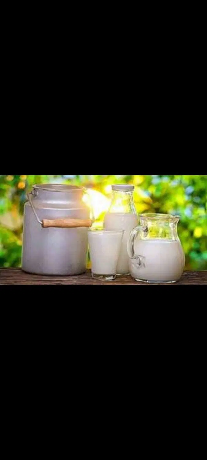 شیر گاو|خوردنی و آشامیدنی|جعفرآباد, |دیوار
