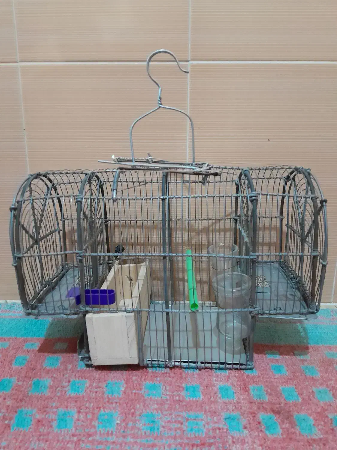 قفس|لوازم جانبی حیوانات|بروجرد, |دیوار