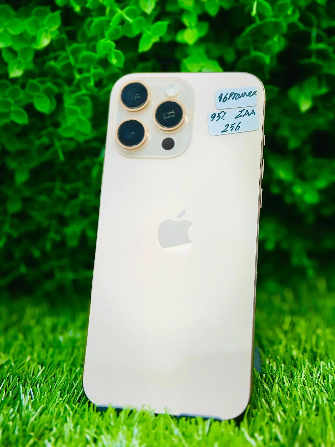 iPhone 16 Pro max|موبایل|تهران, گیشا|دیوار