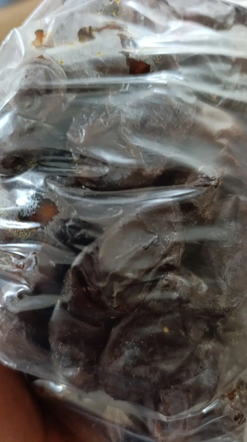 خرما|خوردنی و آشامیدنی|چغادک, |دیوار