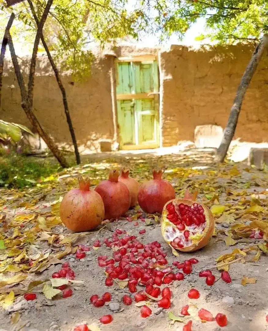 جذب منشی|استخدام آموزشی|کرج, حاجی آباد|دیوار