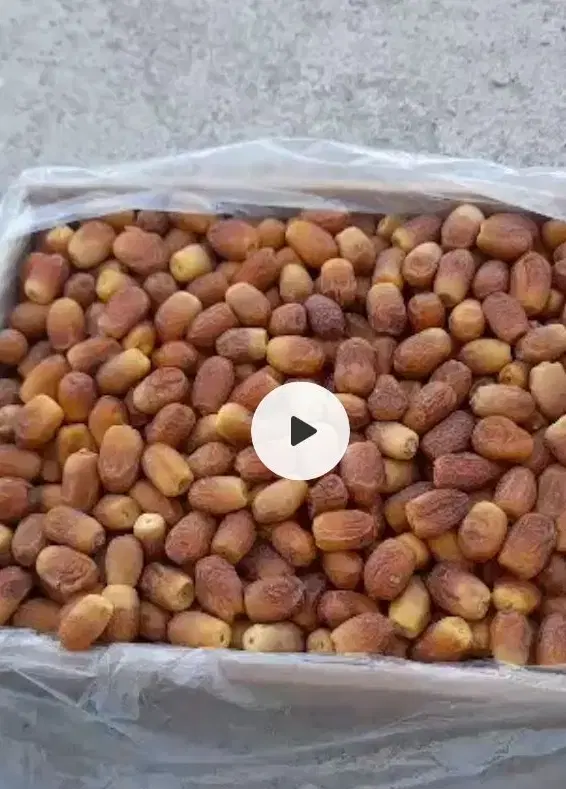 خرما|خوردنی و آشامیدنی|رودخانه, |دیوار