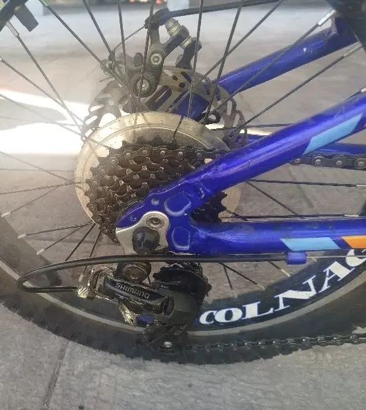 دوچرخه COLNAGO|دوچرخه، اسکیت، اسکوتر|پرند, فاز ۰|دیوار