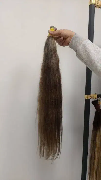 فرش|فرش|تربت جام, حافظ|دیوار