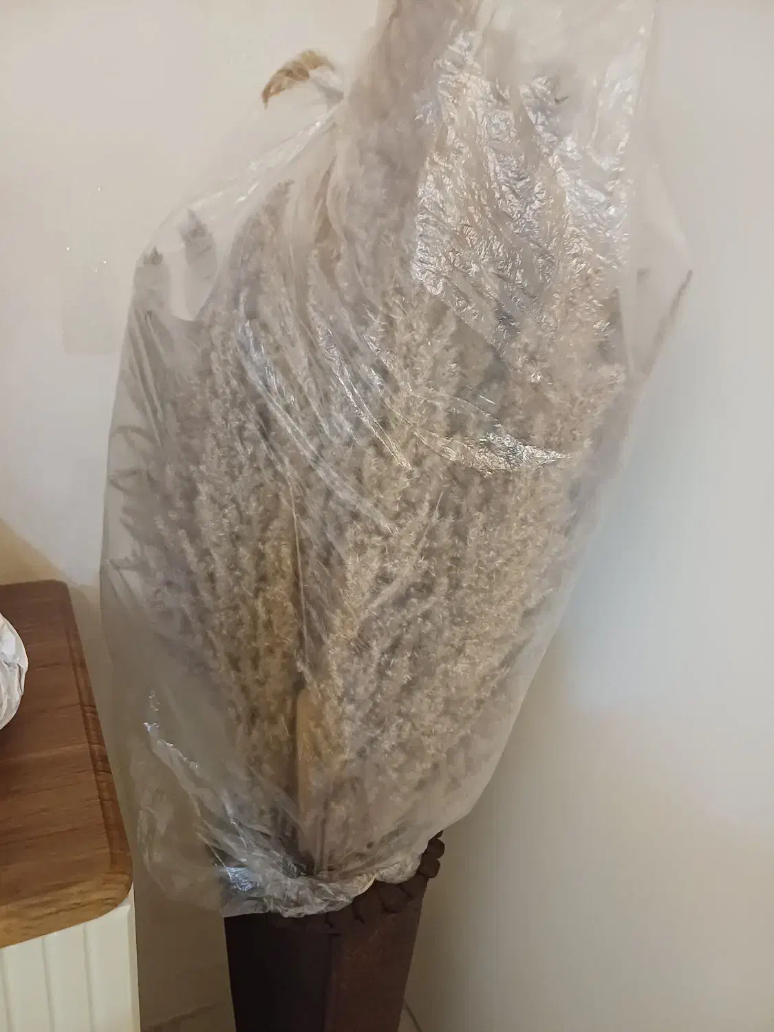 گل پامپاس|گل مصنوعی|کرمانشاه, |دیوار