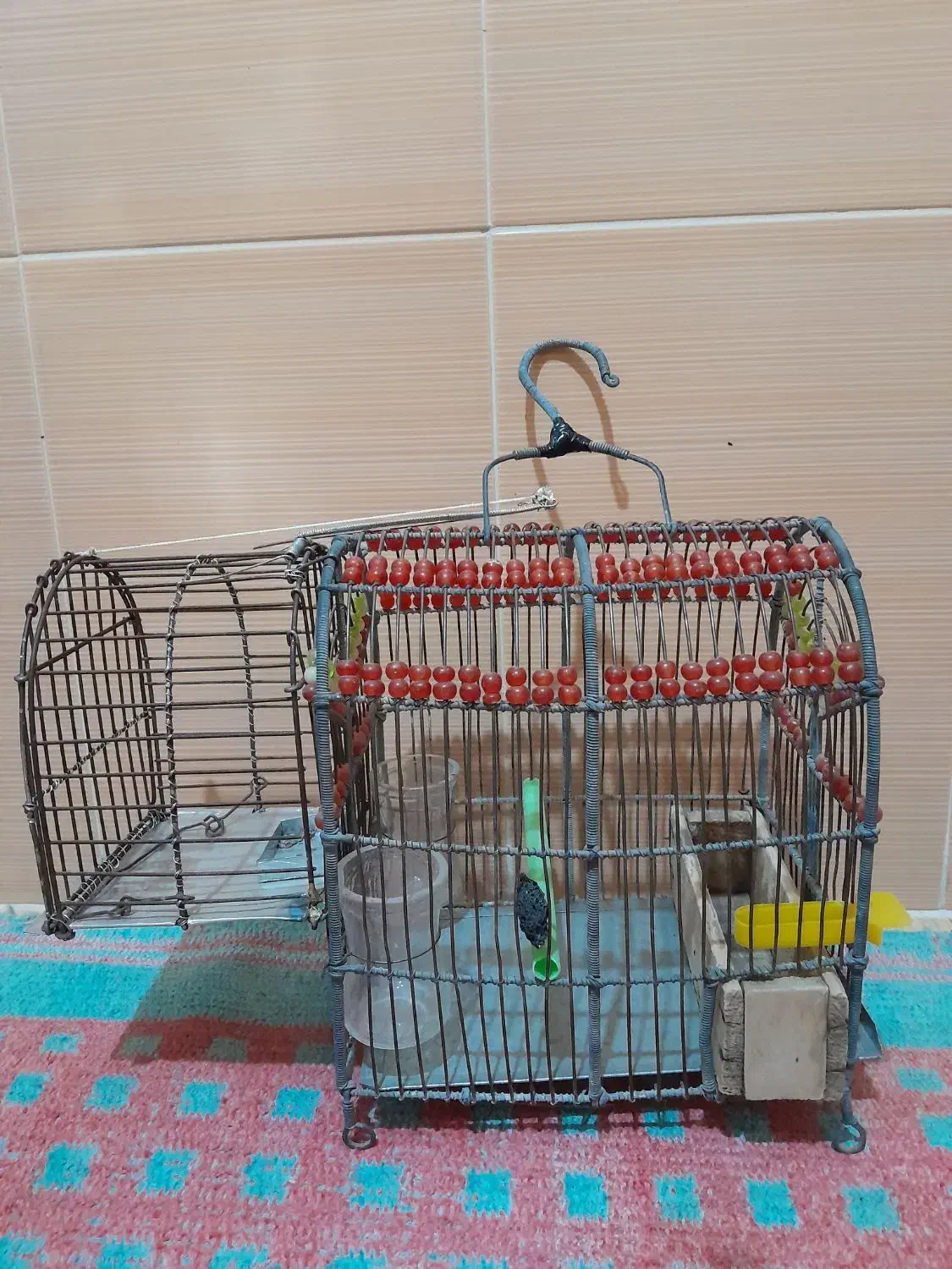 قفس|لوازم جانبی حیوانات|بروجرد, |دیوار