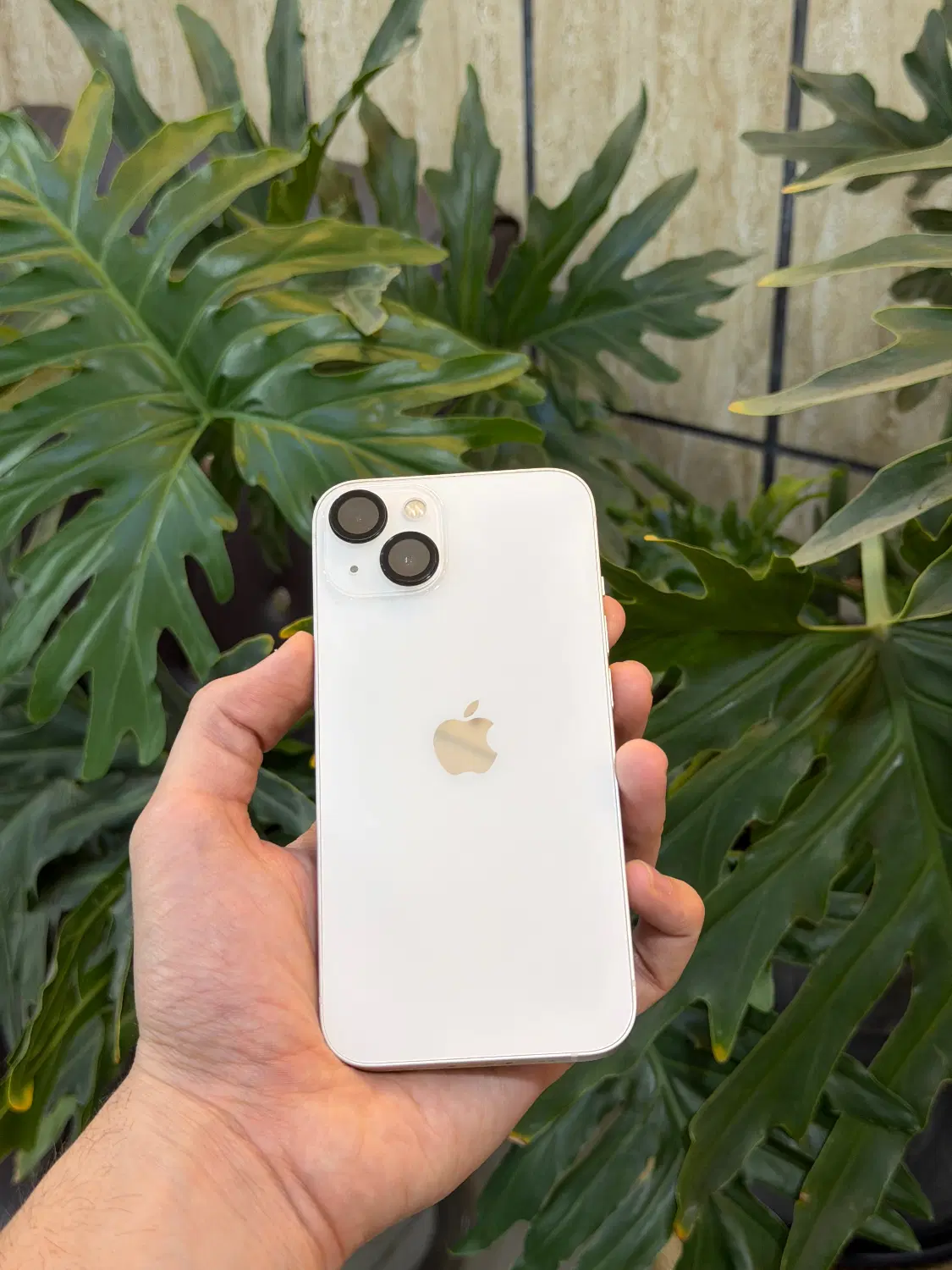 Iphone 13 normal|موبایل|تهران, آزادشهر|دیوار